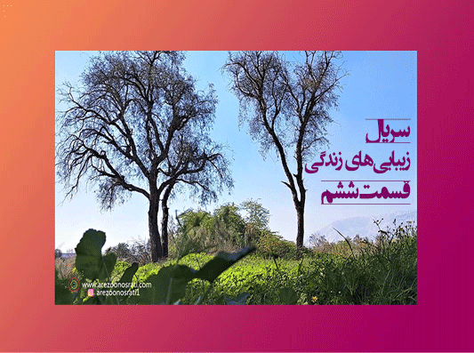 دو-نکته-و-آگاهی-مهم-برای-جذب-زیبایی-های-زندگی