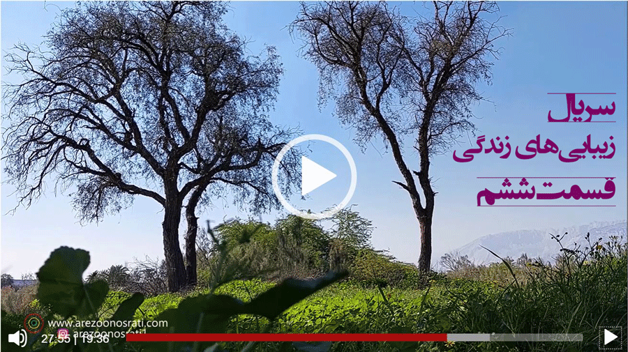 دو-نکته-و-آگاهی-مهم-برای-جذب-زیبایی-های-زندگی